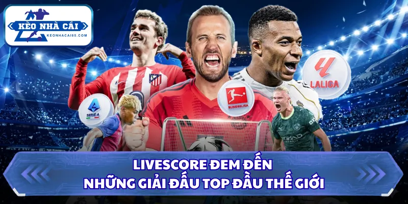 Livescore 25 Livescore đem đến những giải đấu top đầu thế giới