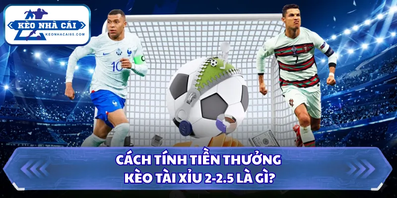Kèo Tài Xỉu 2-2.5 Là Gì? Cẩm Nang Thắng Bất Bại Nam 2026 1 Cách tính tiền thưởng kèo tài xỉu 2-2.5 là gì?