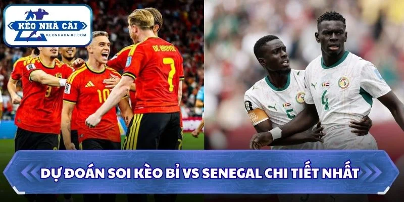 Soi kèo Bỉ vs Senegal chi tiết nhất