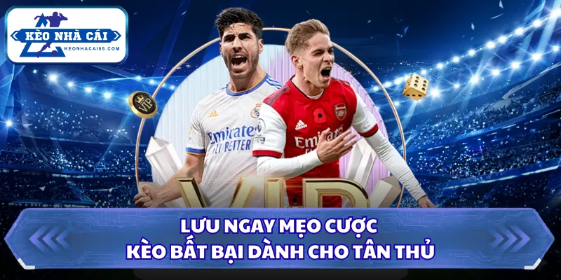 Kèo Chấp 2 Trái Là Gì? Tìm Hiểu Cùng Kèo Nhà Cái 2026 3 Lưu ngay mẹo cược kèo bất bại dành cho tân thủ