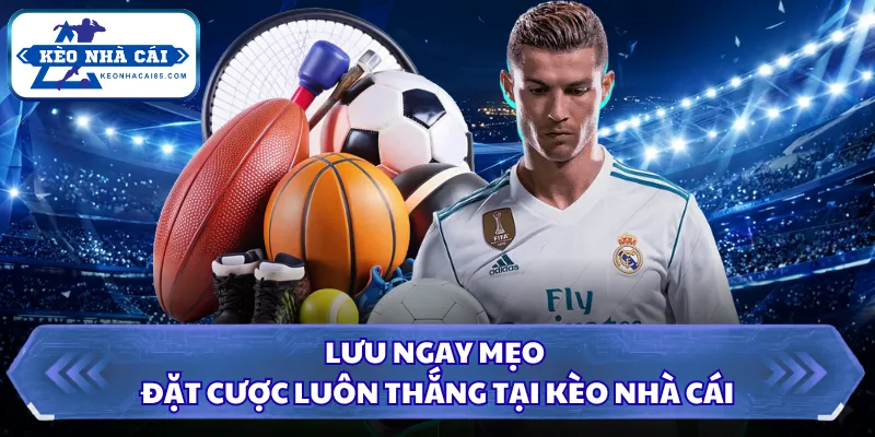 Kèo Chấp Nửa Một Là Gì? Tân Thủ Nắm Chắc Để Chiến Thắng 3 Lưu ngay mẹo đặt cược luôn thắng tại Kèo Nhà Cái