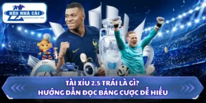 Tài Xỉu 2.5 Trái Là Gì? Hướng Dẫn Đọc Bảng Cược Dễ Hiểu 9 Tài xỉu 2.5 trái là gì