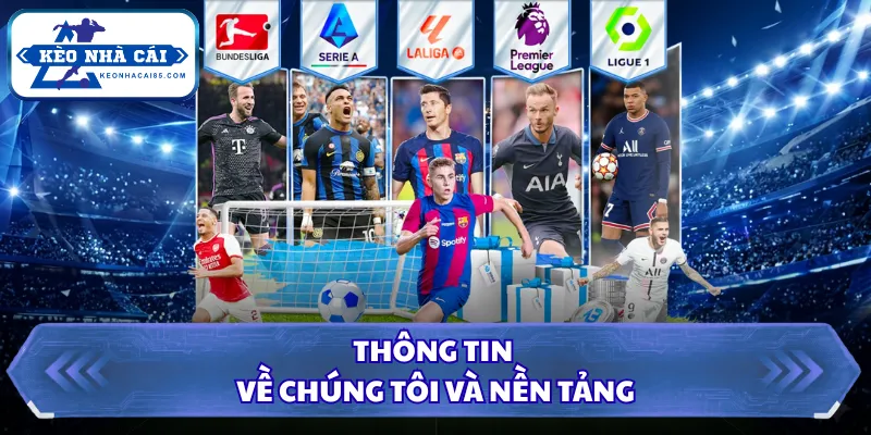 Thông tin về chúng tôi và nền tảng 