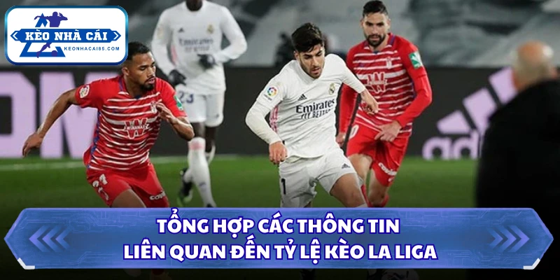Tỷ lệ kèo La Liga - Kết Quả Nhanh Chóng Với Tin Tức Nóng Hổi 1 Tổng hợp các thông tin liên quan đến tỷ lệ kèo La Liga