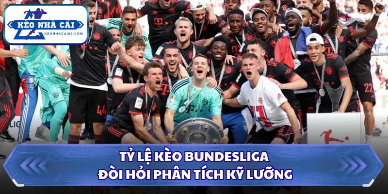 Tỷ Lệ Kèo Bundesliga - Tổng Hợp Tỷ Lệ Cược Bóng Đá Đức Mới 1 Tỷ lệ kèo Bundesliga đòi hỏi phân tích kỹ lưỡng
