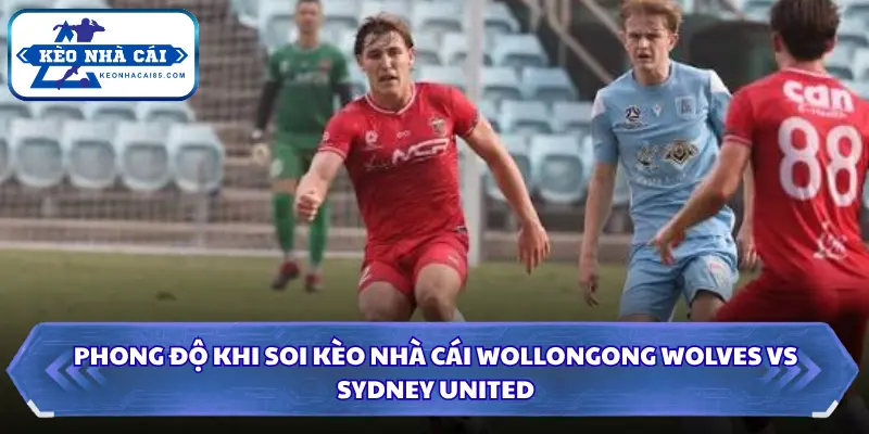 Phong độ khi soi kèo nhà cái Wollongong Wolves vs Sydney United